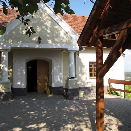 Borospince Vendeghaz Dom wakacyjny *