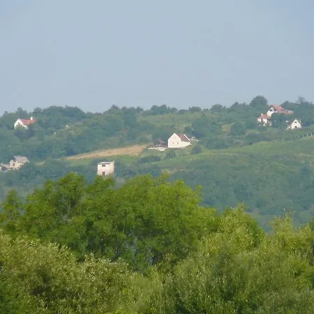 Сasa de vacaciones Borospince Pécsely