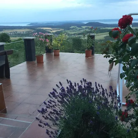 Borospince Vendeghaz Tatil Evi