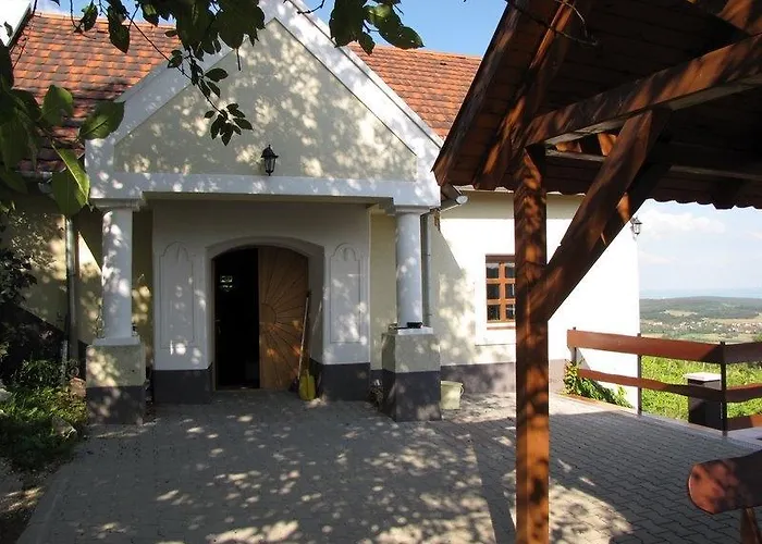 Borospince Vendeghaz Dom wakacyjny *